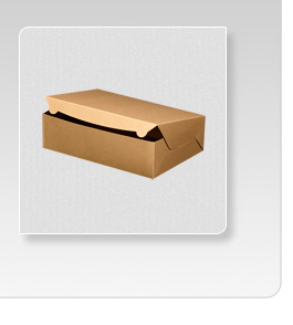 Sample Brown Box